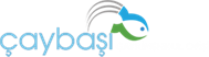 Çaybaşı