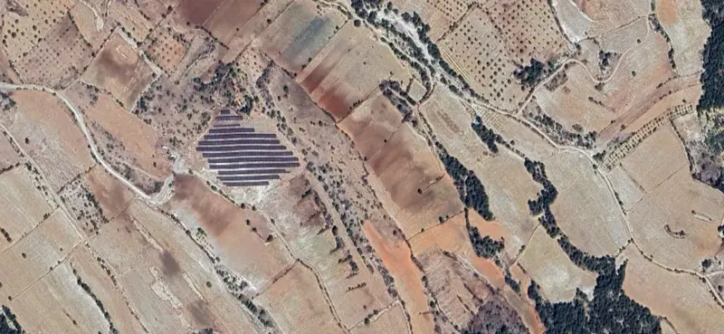 973.jpg