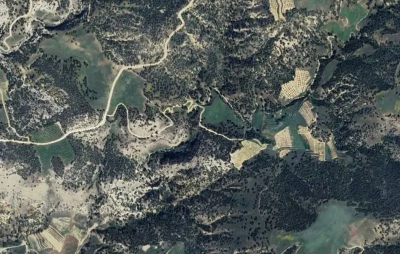 Denizli, Pamukkale, Satılık, Tarla — fotoğraf 2