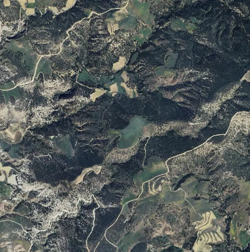 Ekran görüntüsü 2026-07-15 095935.png