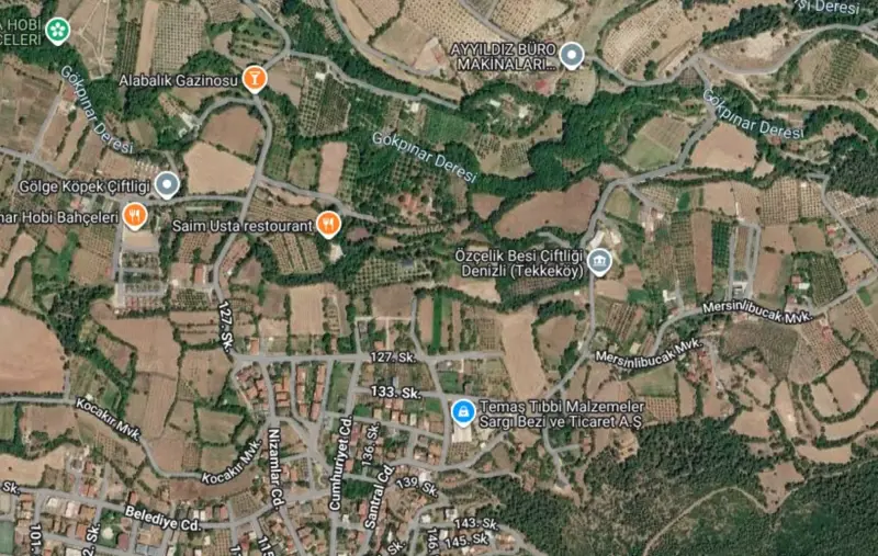 Tekkeköy Mah., Satılık, Tarla, 6.517 m² — fotoğraf 2