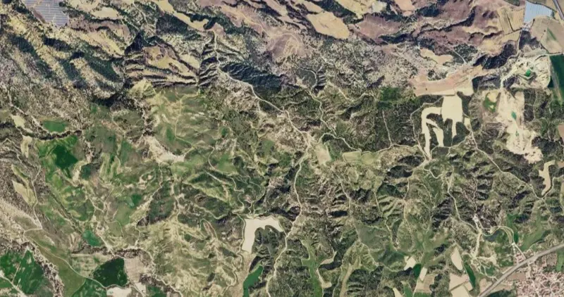 136.jpg
