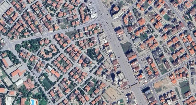 261.jpg