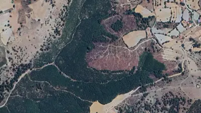 Denizli, Tavas, Satılık, Tarla