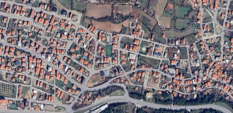 519.jpg