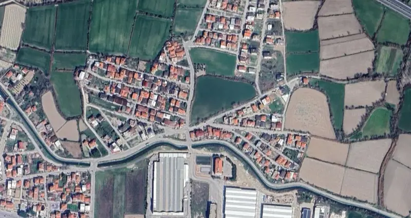 1463.jpg