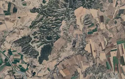 Darıveren Mah., Satılık, Tarla