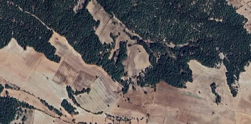 1530.jpg