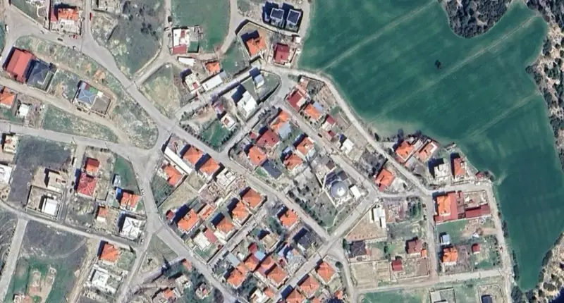 206.jpg