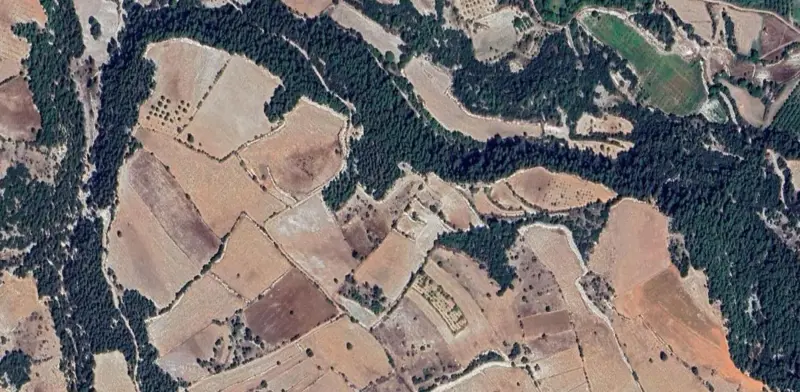 1125.jpg