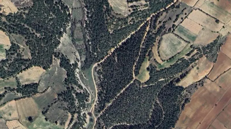 174.jpg
