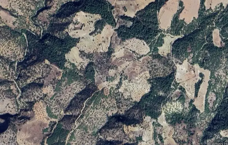 Belenardıç Mah., Satılık, Tarla, 22.821 m² — fotoğraf 2