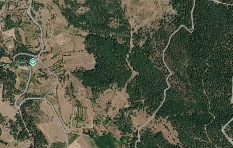 Cankurtaran Mah., Satılık, Tarla, 2.983 m² — fotoğraf 1