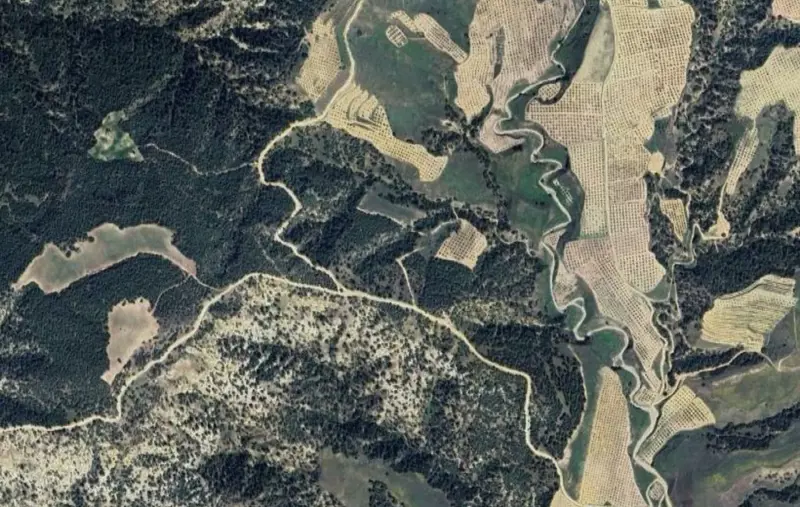 Güzelpınar Mah., Satılık, Tarla, 15.312 m² — fotoğraf 2