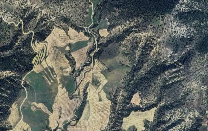 Güzelpınar Mah., Satılık, Tarla, 22.744 m² — fotoğraf 2