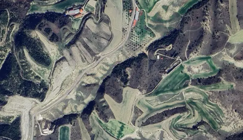 331.jpg