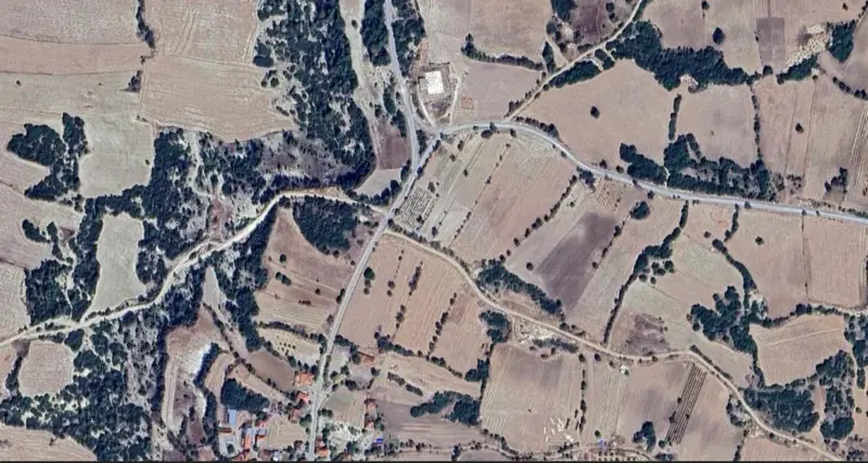 1668.jpg
