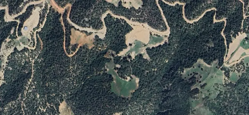 798.jpg