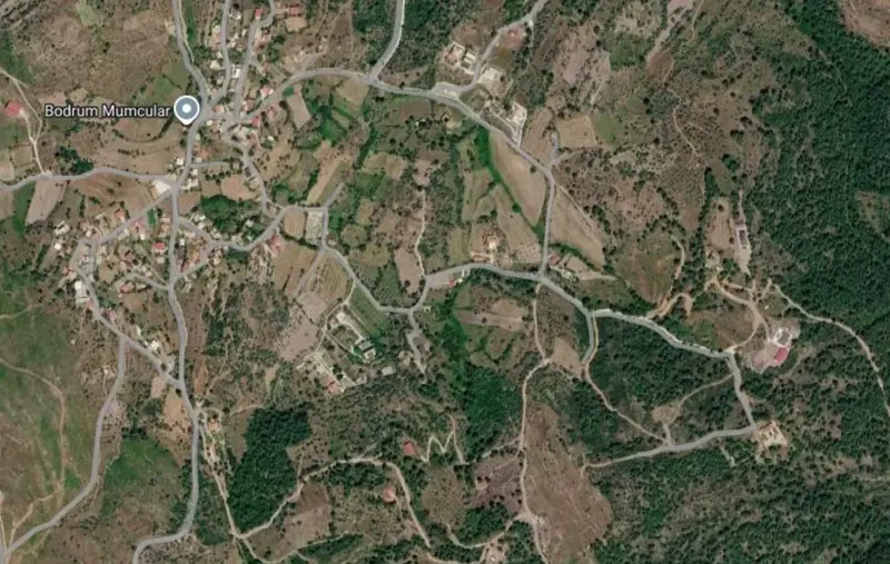 bolge-uydu-gorseli.png