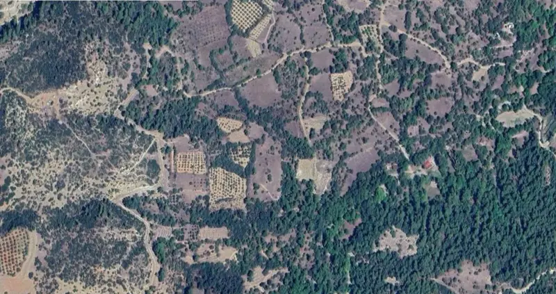 1516.jpg
