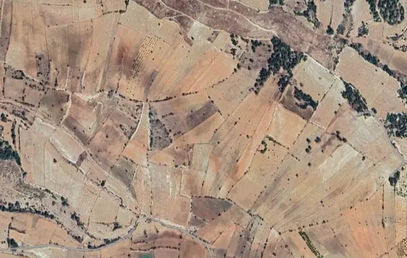 Belenardıç Mah., Satılık, Tarla, 9.119 m² — fotoğraf 2
