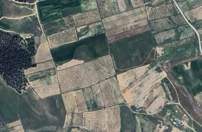 Denizli, Pamukkale, Satılık, Tarla