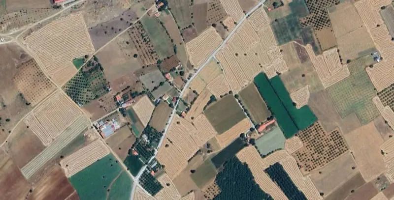 36.jpg