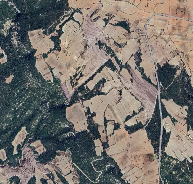 Ekran görüntüsü 2026-07-10 145205.png