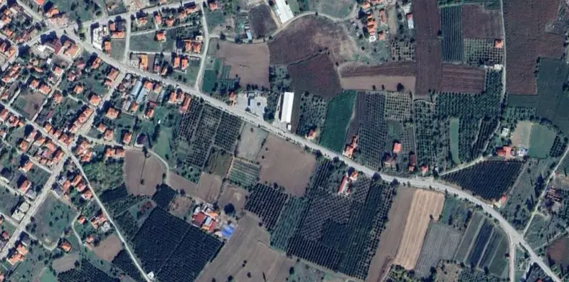 1378.jpg