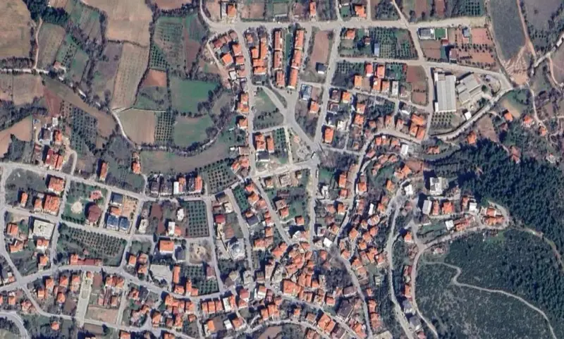 154.jpg