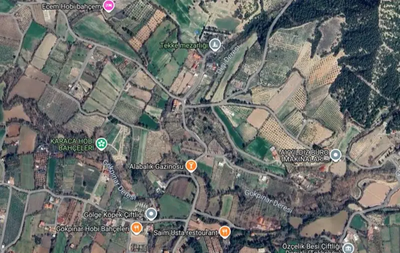 bolge-uydu-gorseli.png
