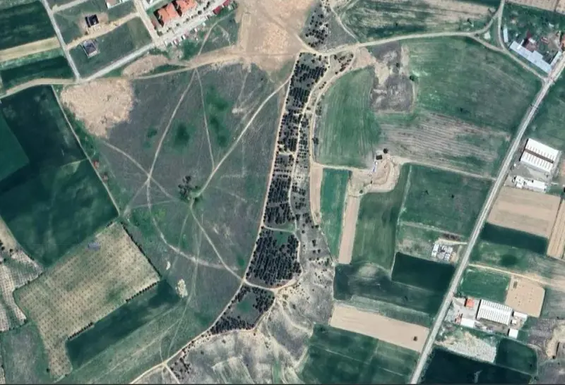 1767.jpg