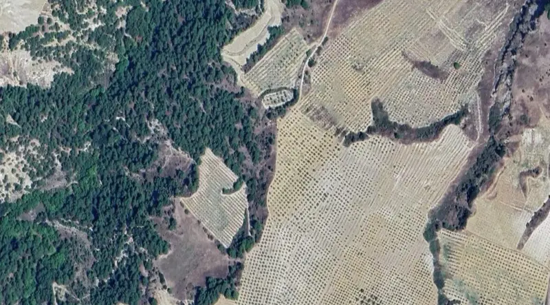 1710.jpg