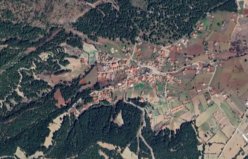 2159.jpg