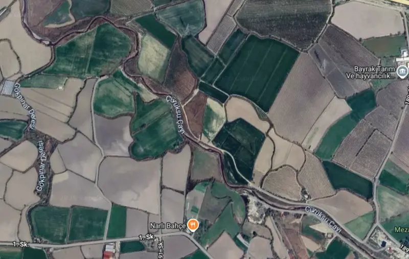 Denizli, Korucuk, Tarla — fotoğraf 1