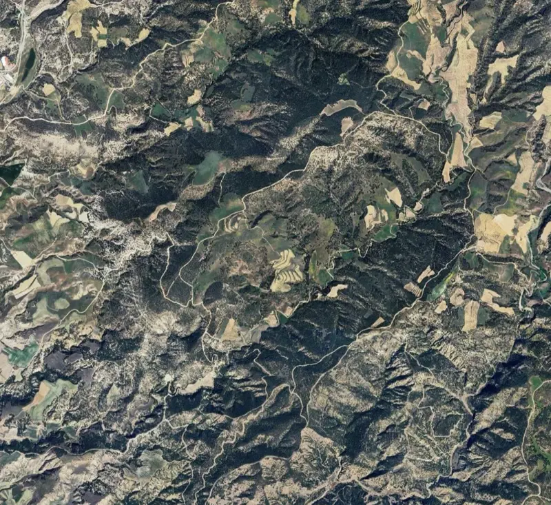 Ekran görüntüsü 2026-07-03 093400.png
