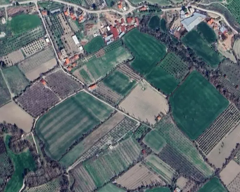 1843.jpg