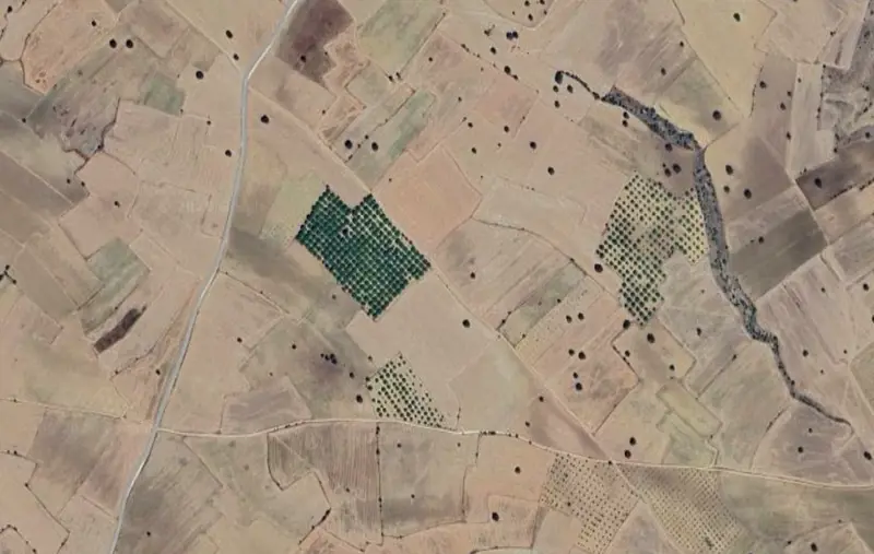Karabedirler Mah., Satılık, Tarla, 29.957 m² — fotoğraf 2