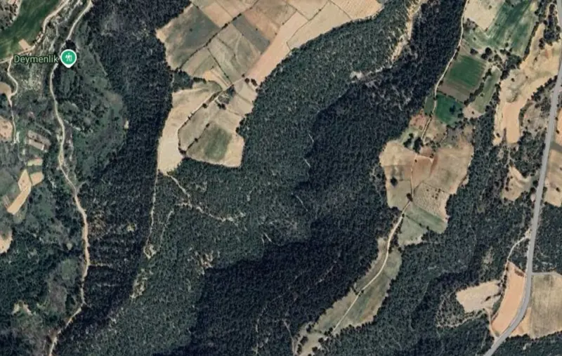 Güzelpınar Mah., Satılık, Tarla, 5.566 m² — fotoğraf 2
