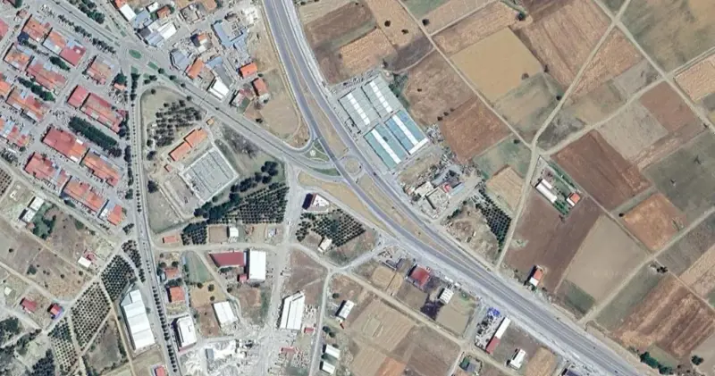 596.jpg