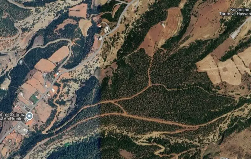 Altındere Mah., Satılık, Tarla, 2.467 m² — fotoğraf 2