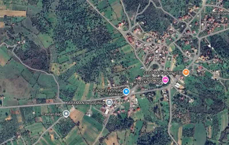 bolge-uydu-gorseli.png