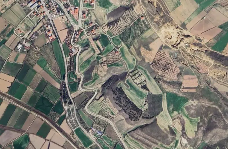 2182.jpg