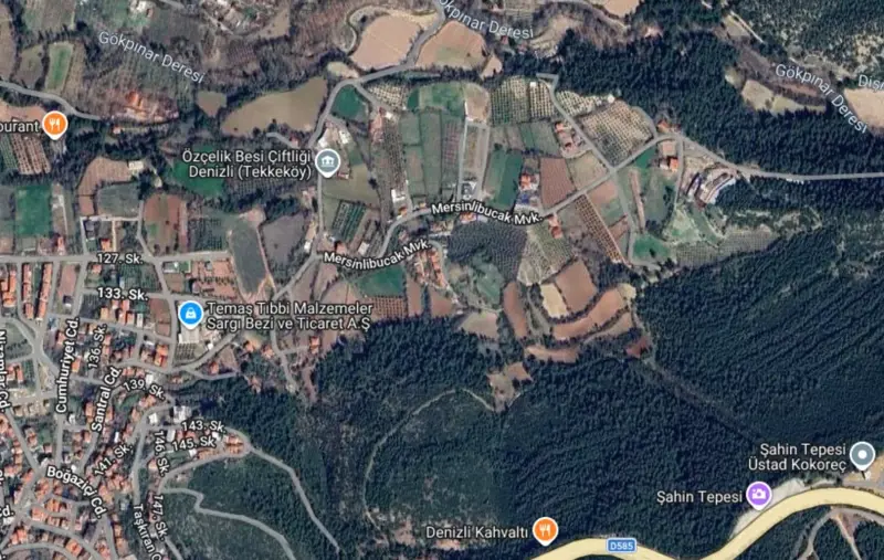 bolge-uydu-gorseli.png
