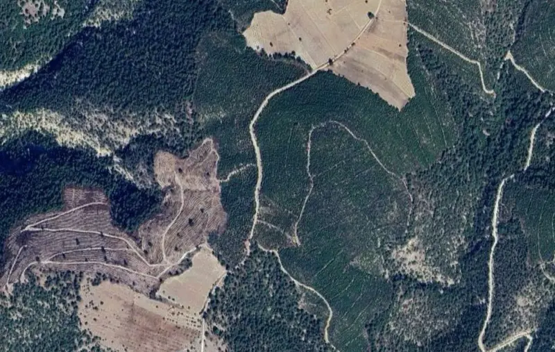 Hamidiye Mah., Satılık, Tarla, 36.943 m² — fotoğraf 2