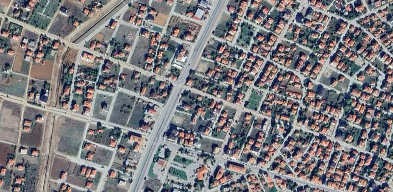 869.jpg