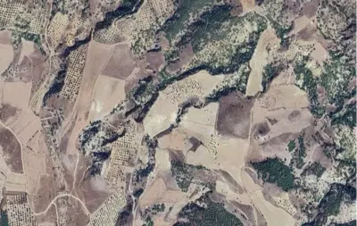 Denizli, Pamukkale, Satılık, Tarla