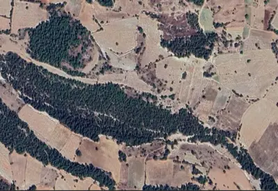Denizli, Pamukkale, Satılık, Tarla
