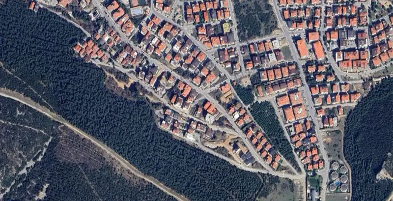 981.jpg