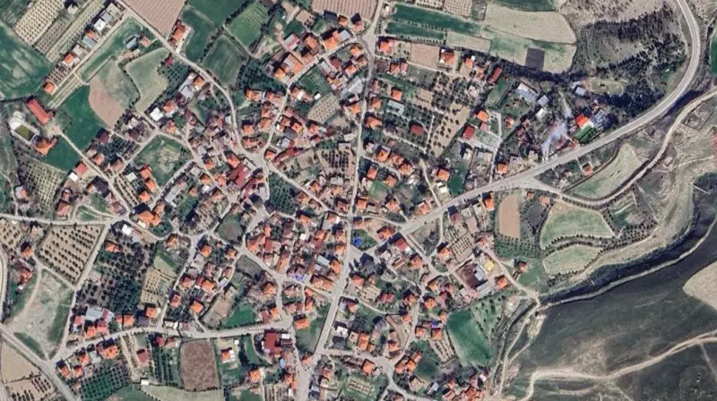 389.jpg